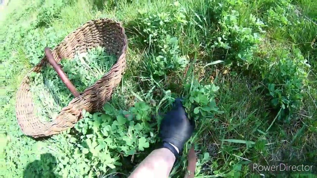 Jak wygląda mój dzień...