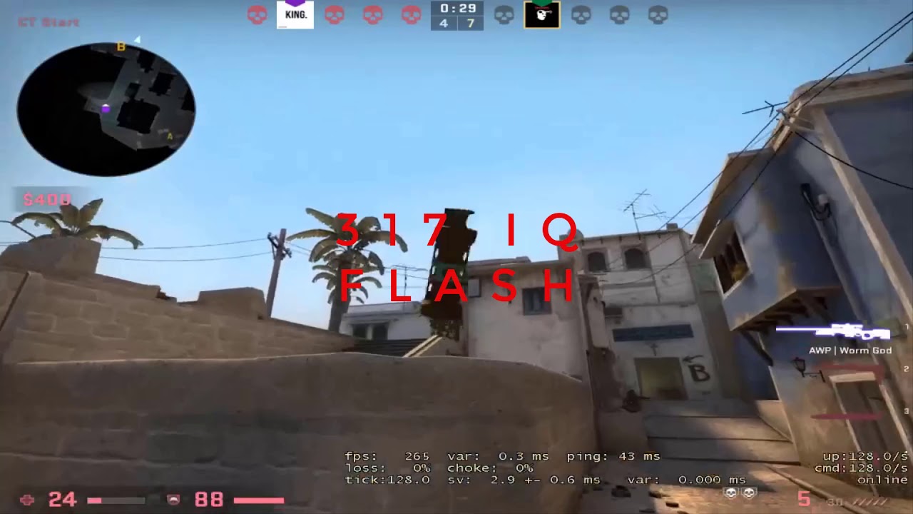 The second best lurkeR in my house.