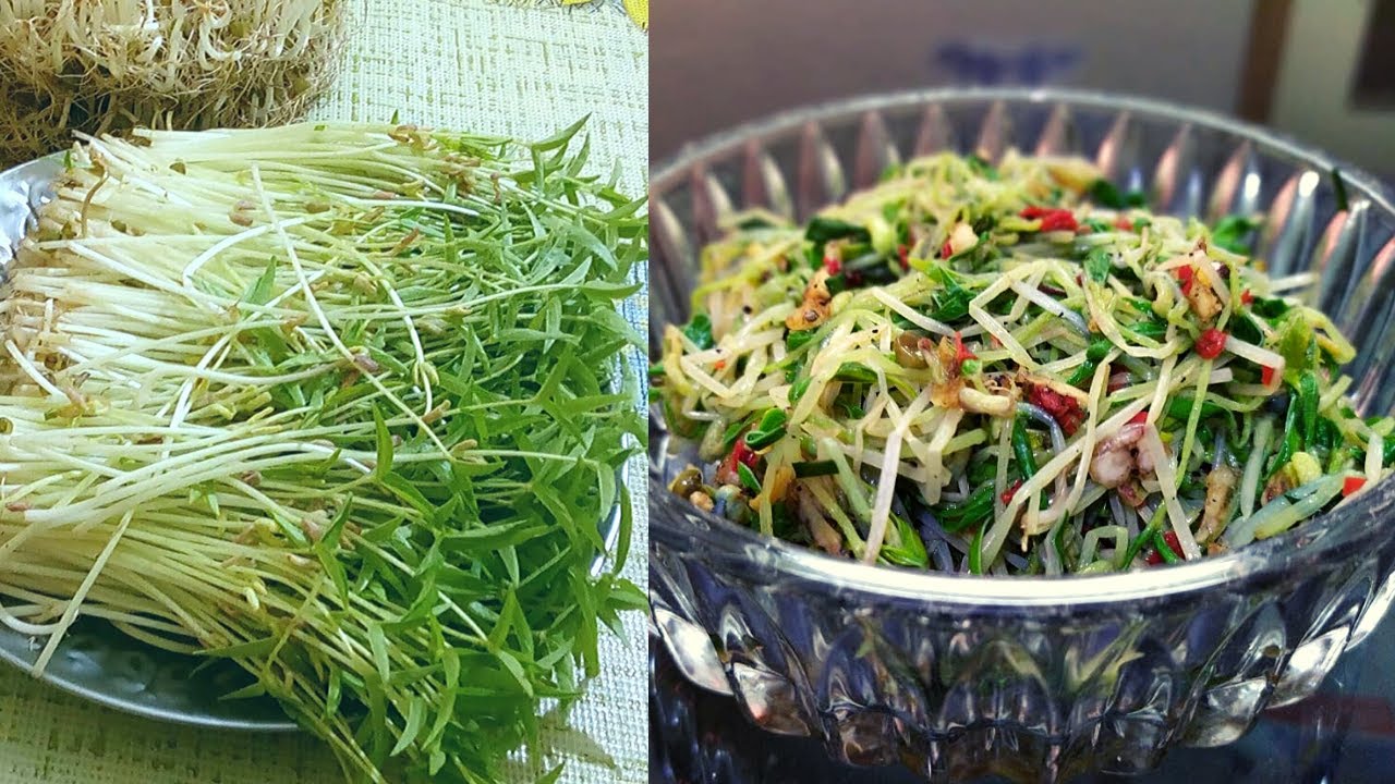 Tasty and Crunchy Mung Microgreens Salad ll Mung Microgreens Side Dish