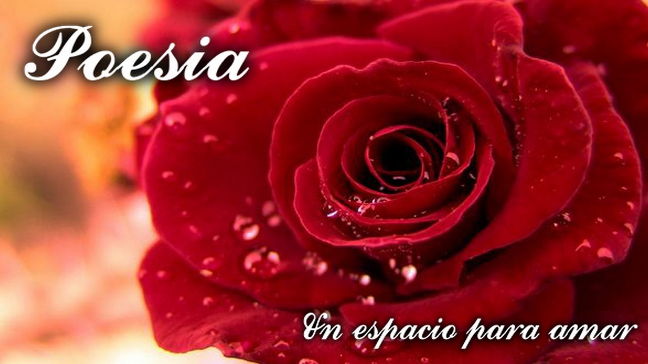 Poesía - 
