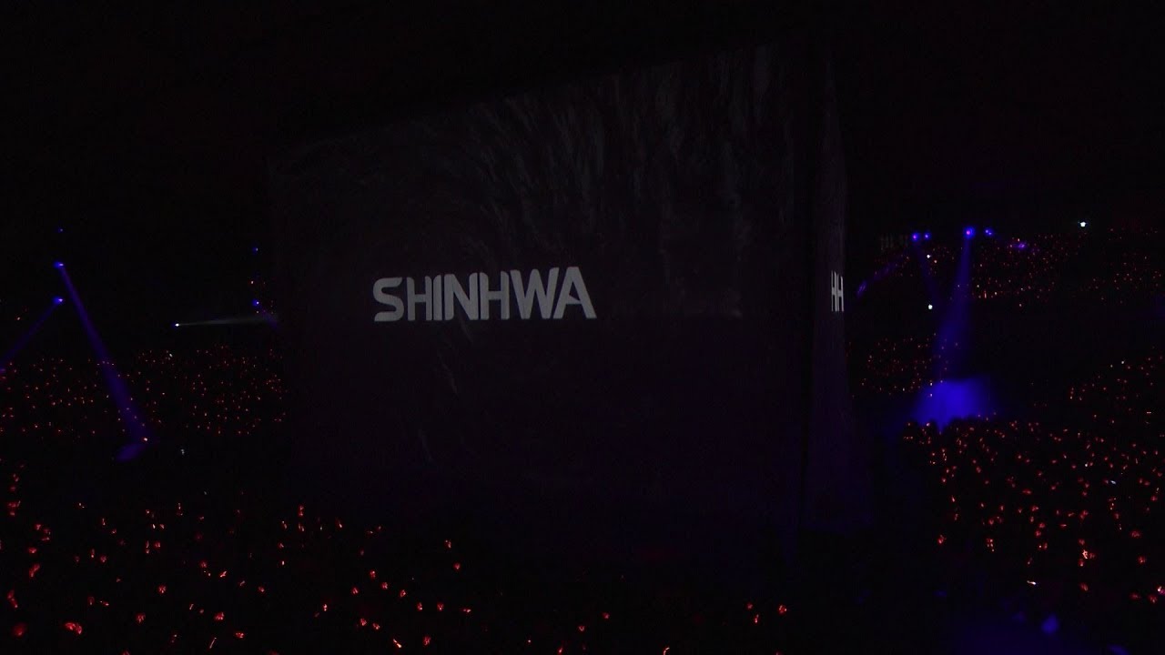 SHINHWA TWENTY FANPARTY : Intro + T.O.P. STAGE CLIP