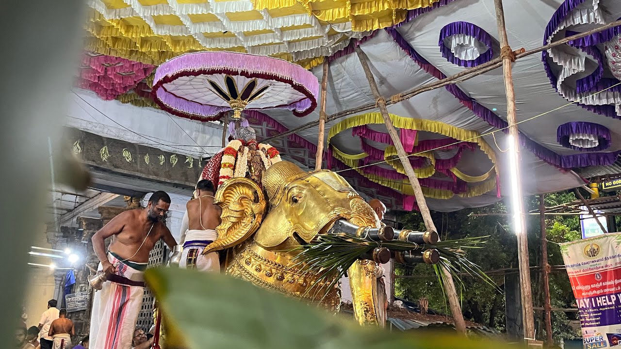 Geja Vahana yesal Purappadu Kanch Sri Varadharaja Perumal Brahmothsavam day 6 Yaanai Vahana yesal
