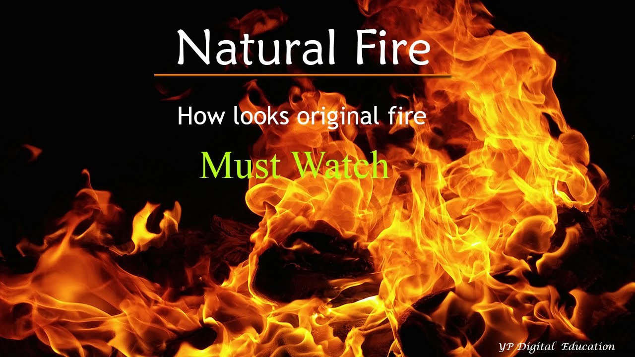 Fire | Original Fire | Fire in village | Aag | Fire in fields | NCERT Science | EVS