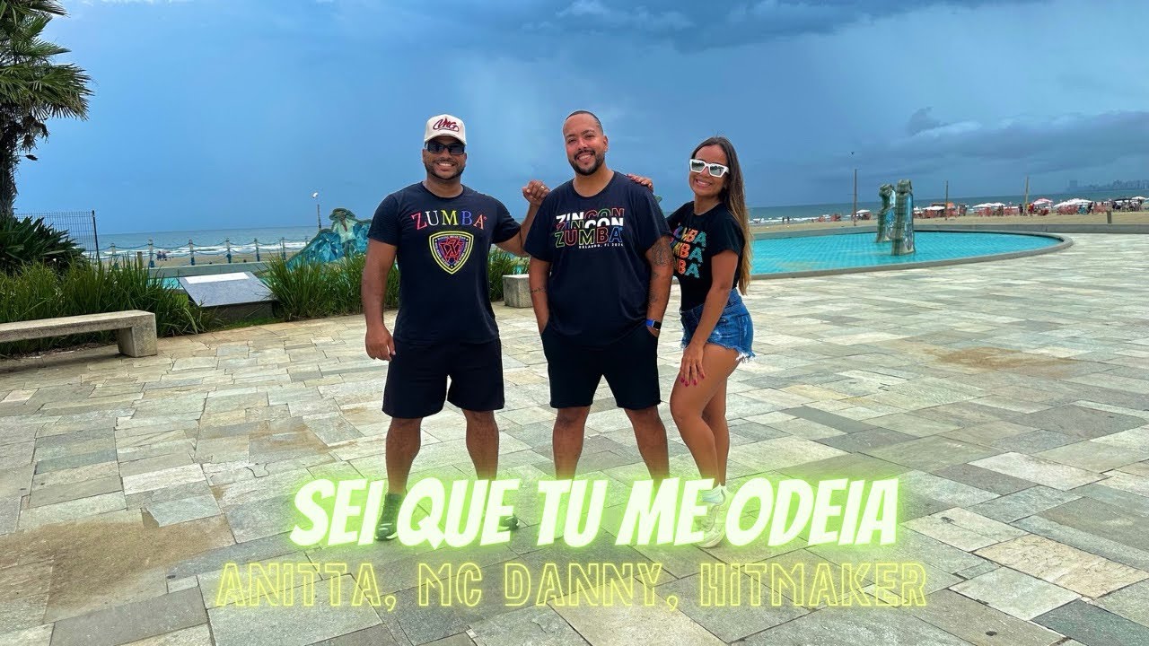SEI QUE TU ME ODEIA - Anitta, Mc Danny , Hitmaker | Dance Brasil | Zumba (Choreography)