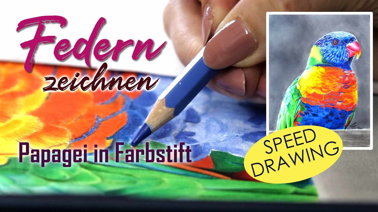 Federn zeichnen: Bunter Papagei in Farbstift - SPEED DRAWING