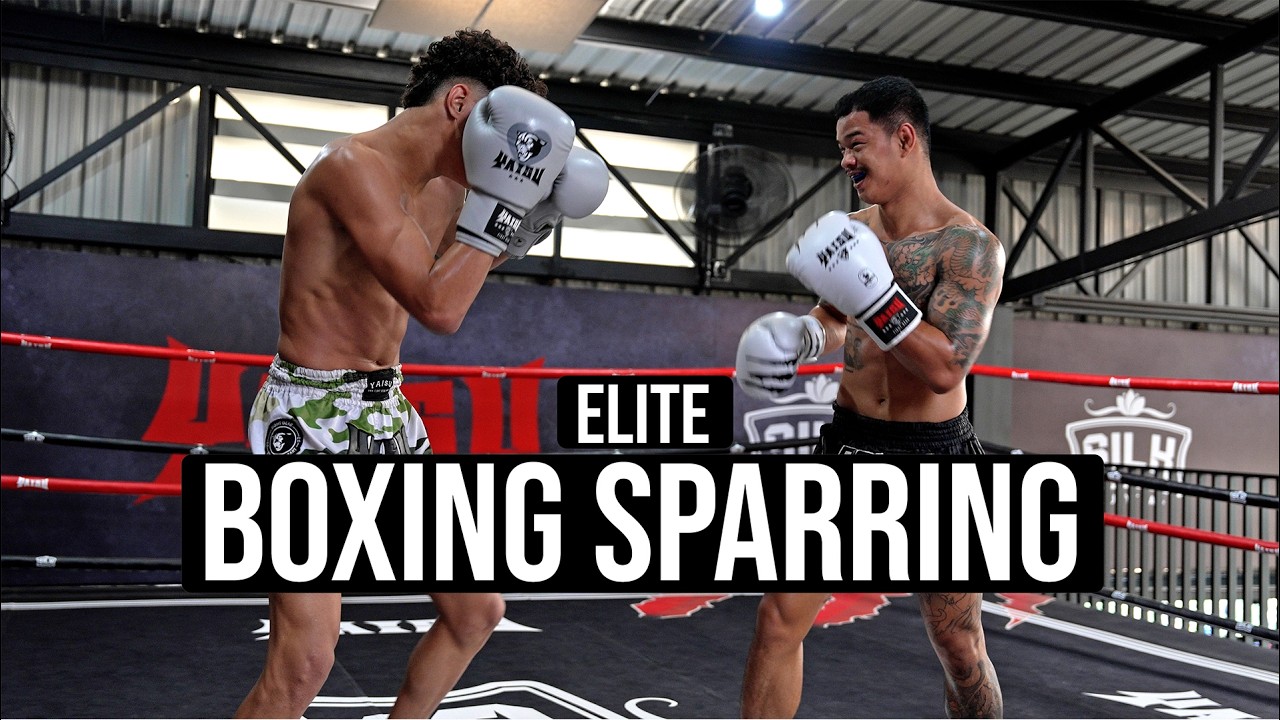 Elite Level Muay Thai Fighters Boxing Sparring