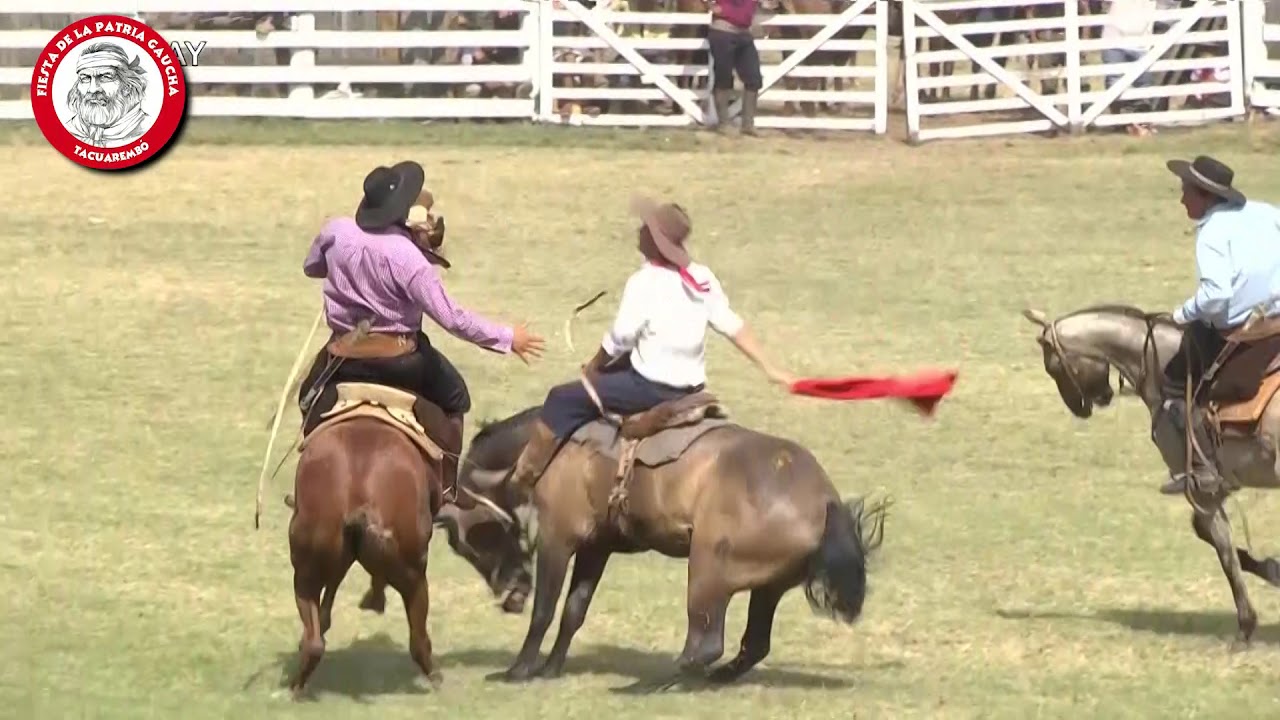 JINETEADAS de la Patria Gaucha