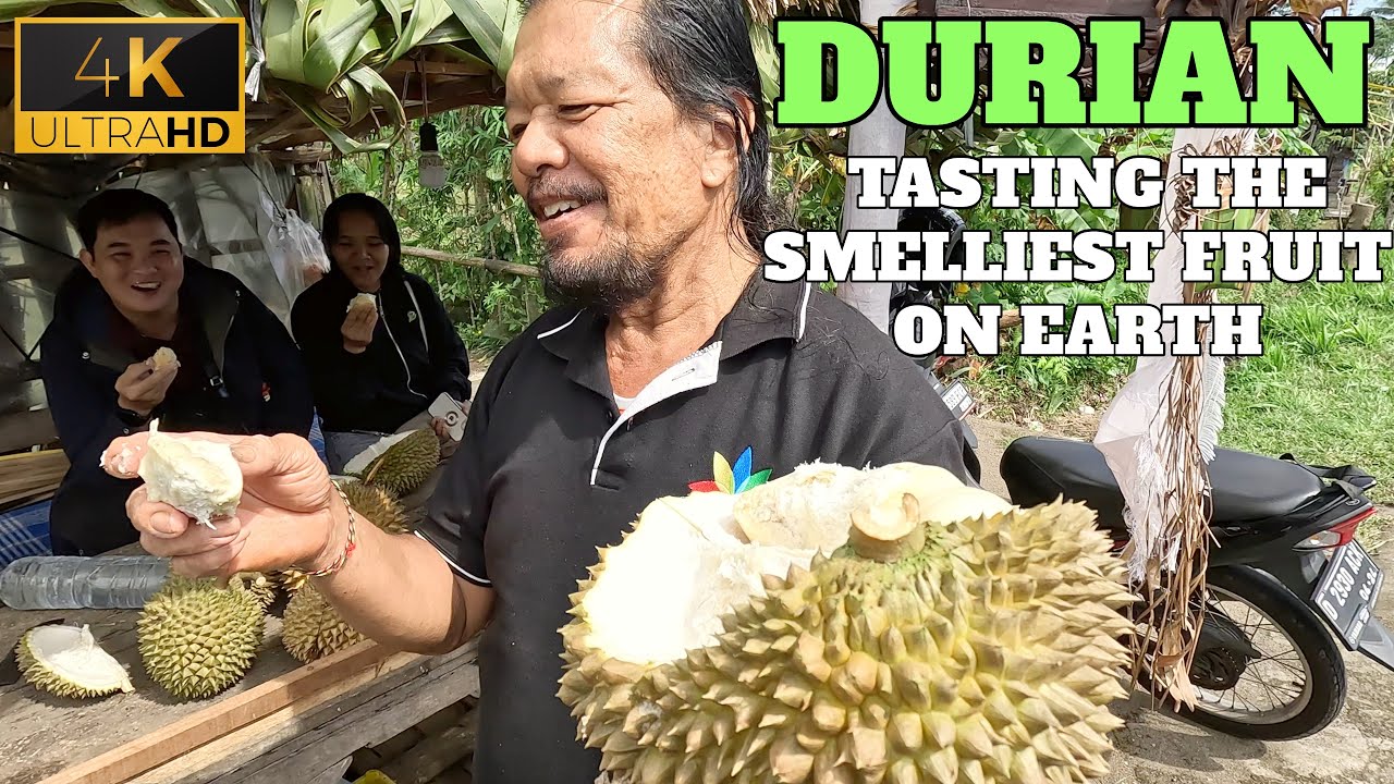 Trying Durian - Sampling The Most Pungent Fruit In Bali, Indonesia, 2024 - 4K
