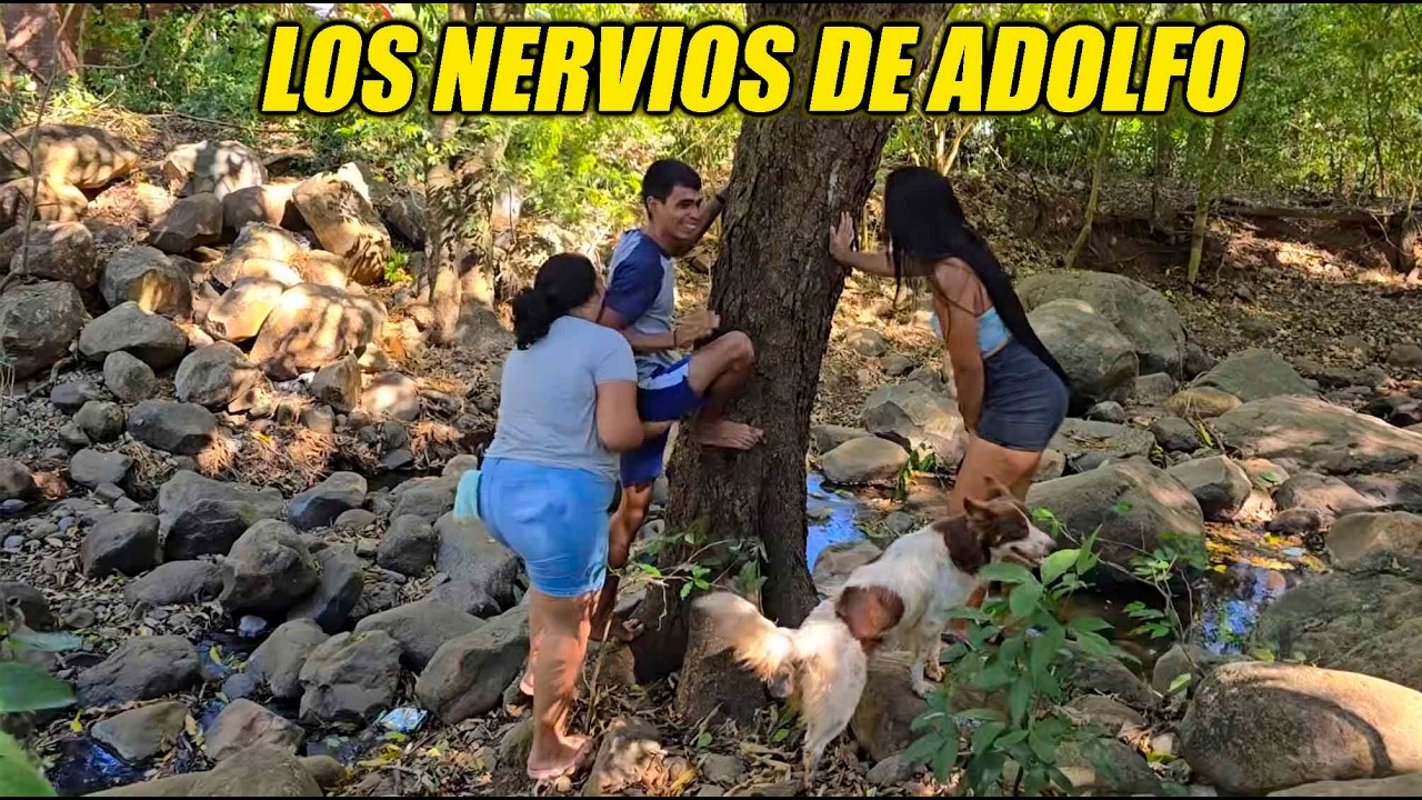 Adolfo por poco deja sin dientes a su esposa.