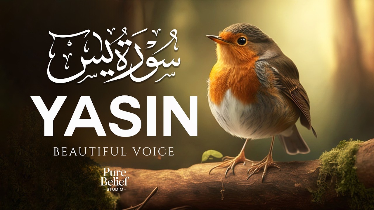 Surah Yaseen (Yasin) سورة يس | Healing Voice Recitation to Calm the Heart & Soul #quran