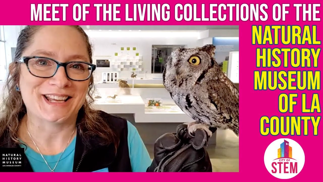 Meet the Living Collections of the Natural History Museum of LA County