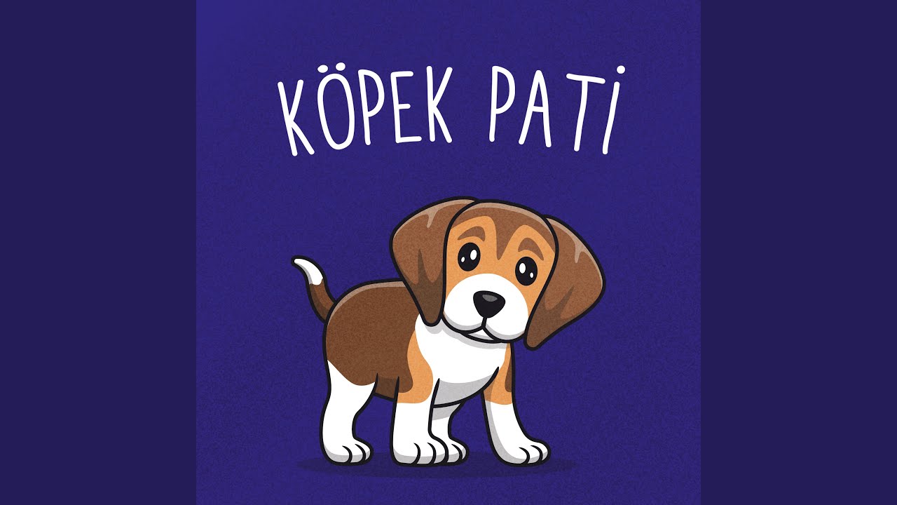 Köpek Pati