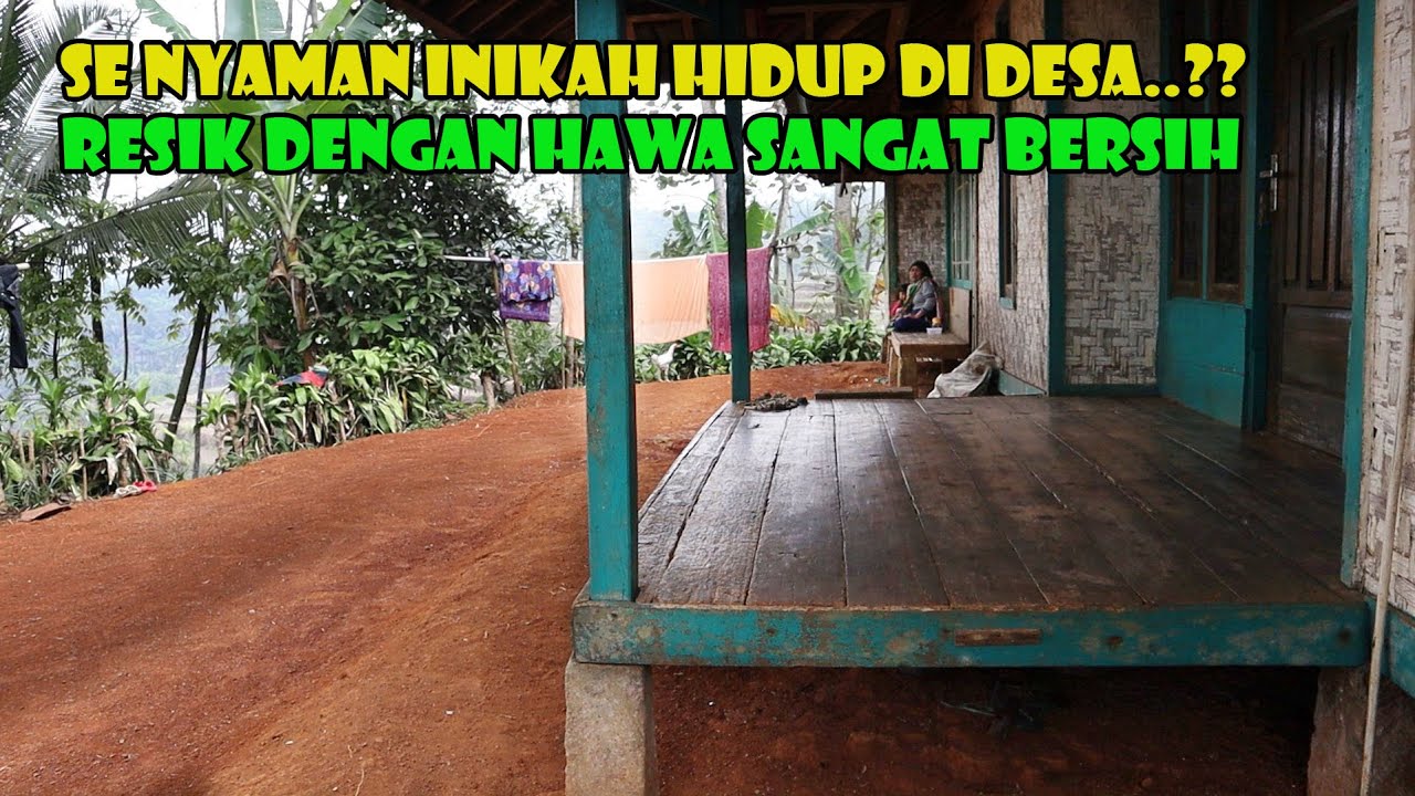 Anda Akan Merasa Sangat Nyaman Tinggal Disini..Pemandangan Sawah Yang Luas Dan Resik.