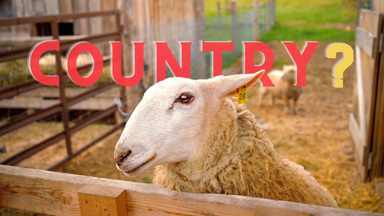 Moving From The City To The Country 👩&zwj;🌾 What to Expect 🔧