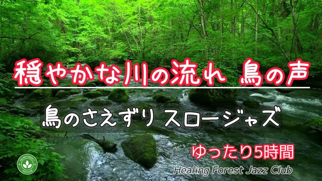 【ゆったり5時間】癒しの森でリラックス ＃559α / 穏やかな川の流れ / 鳥のさえずり / 癒しBGM / スロージャズ