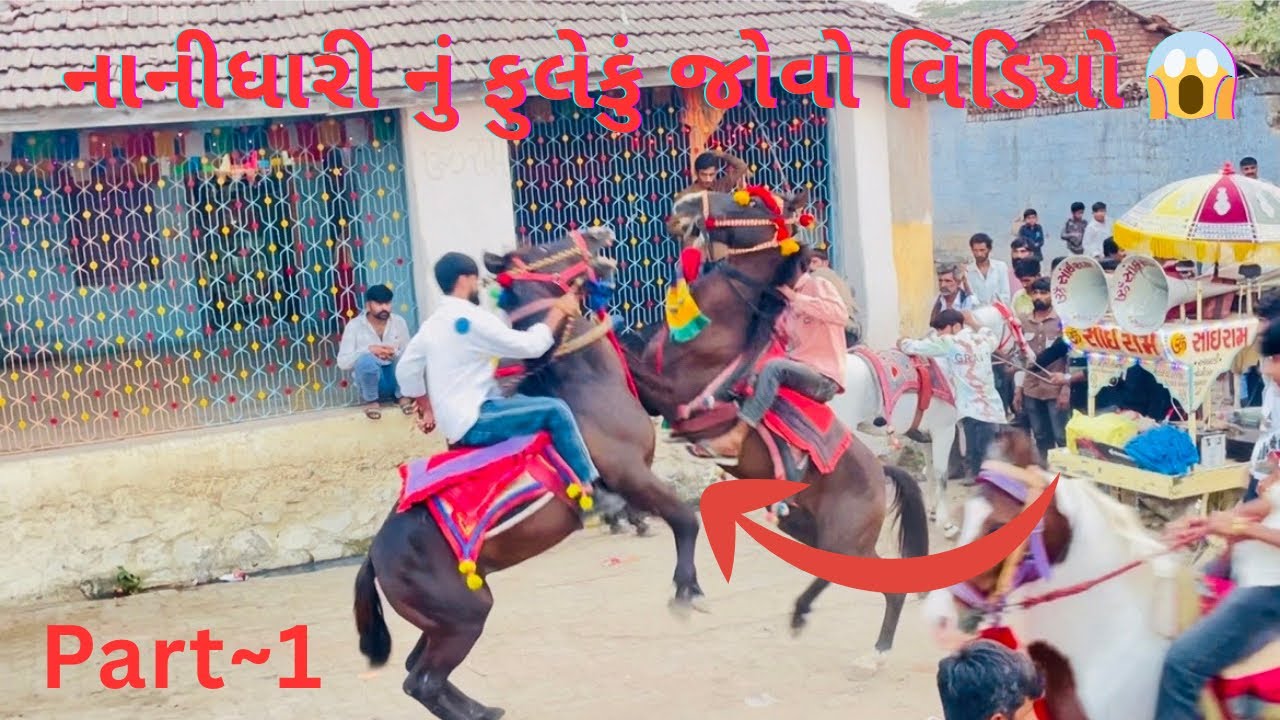 નાનિધારી નું ફુલેકું જોવો વિડિયો ? 😱🎠 nanidhari nu fuleku 