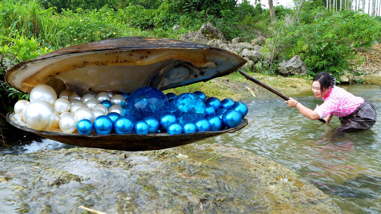😱The girl pried open the giant clam, which contained an astonishing treasure of pearls, so beautiful