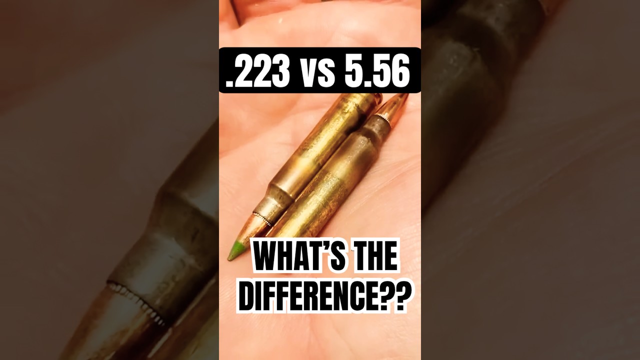 .223 or 5.56?  What&rsquo;s the difference? #shorts #short #shortvideo #shortsvideo ##shortsfeed