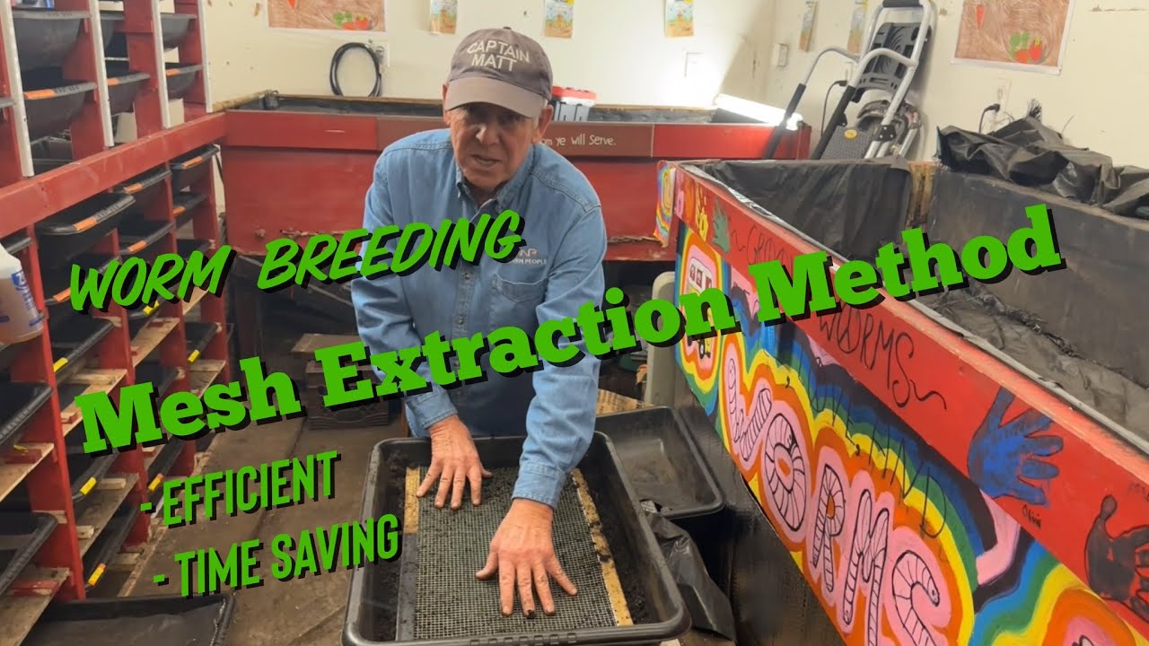 The Time Saving Mesh Worm Extraction Method