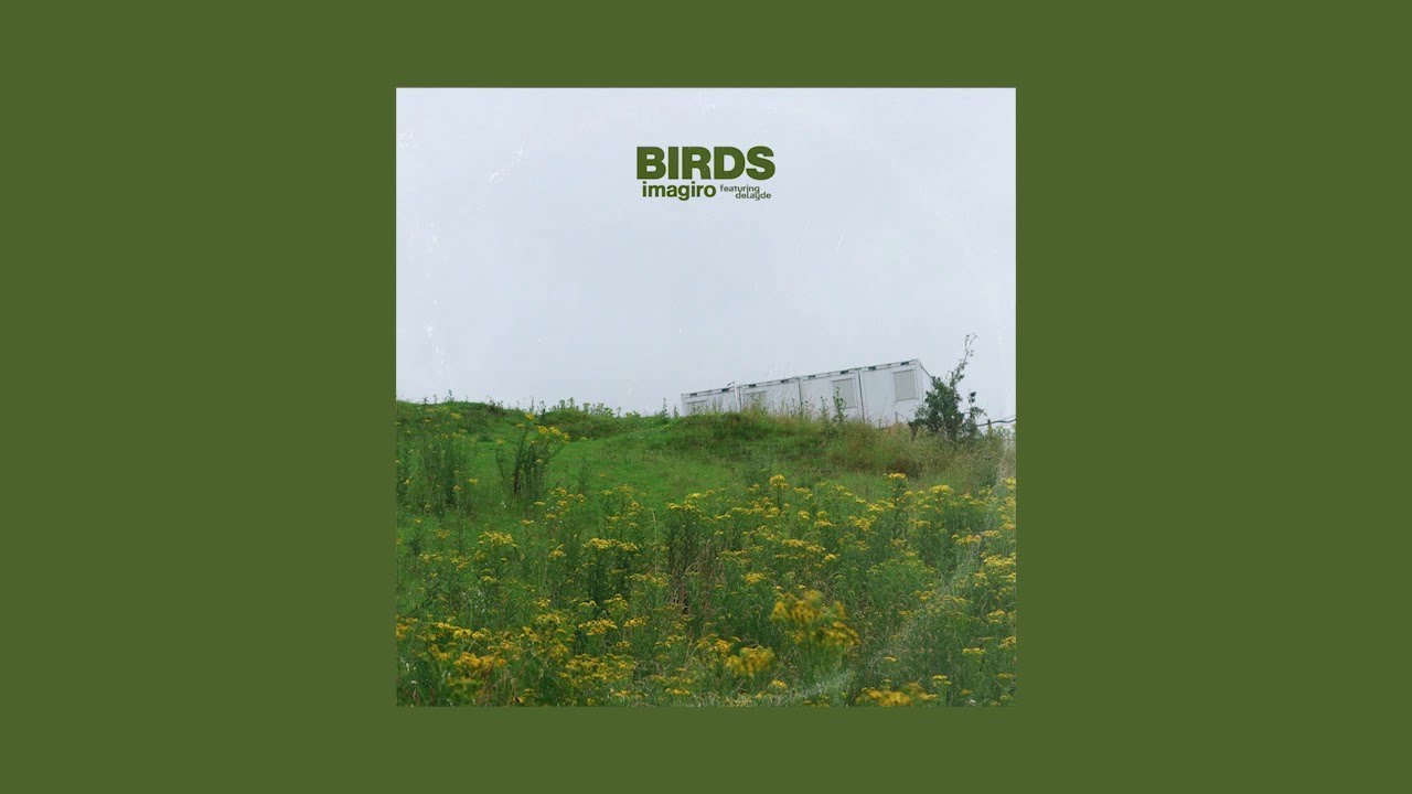imagiro - birds ft. Delayde