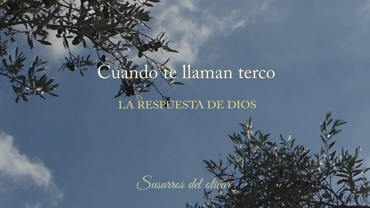 Cuando te llaman terco 🎧 Susurros del olivar (Audio)