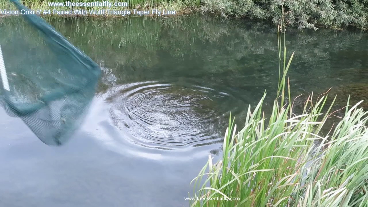 Vision Onki Fly Rod and Triangle Taper Fly Line With Natural Brownie