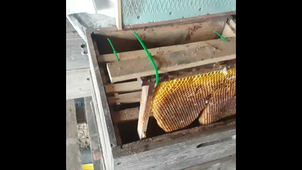 rozšíření loňského oddělku převedeného na delší a nižší rámkovou míru