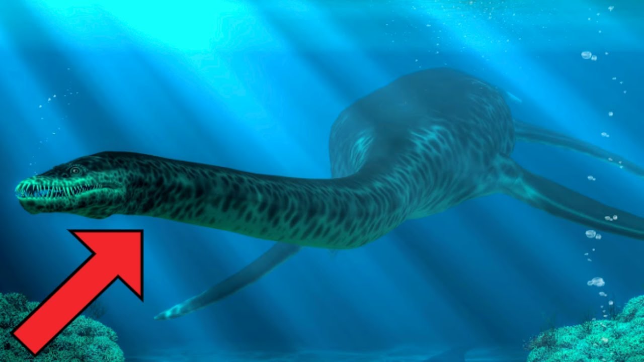 WILDEST African Cryptids