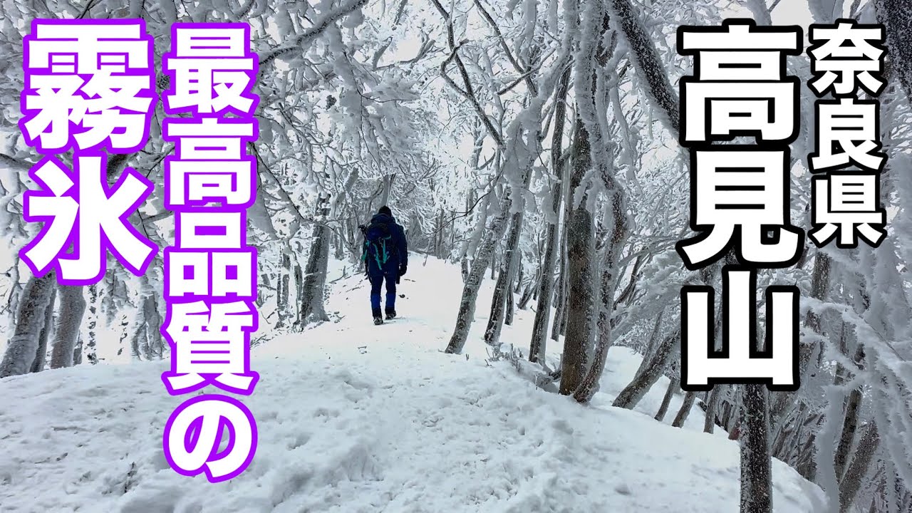 2025年登り始め！近畿のマッターホルン！高見山の霧氷がすごかった！