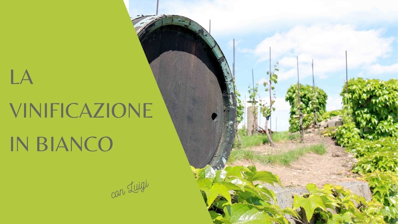 La vinificazione in bianco