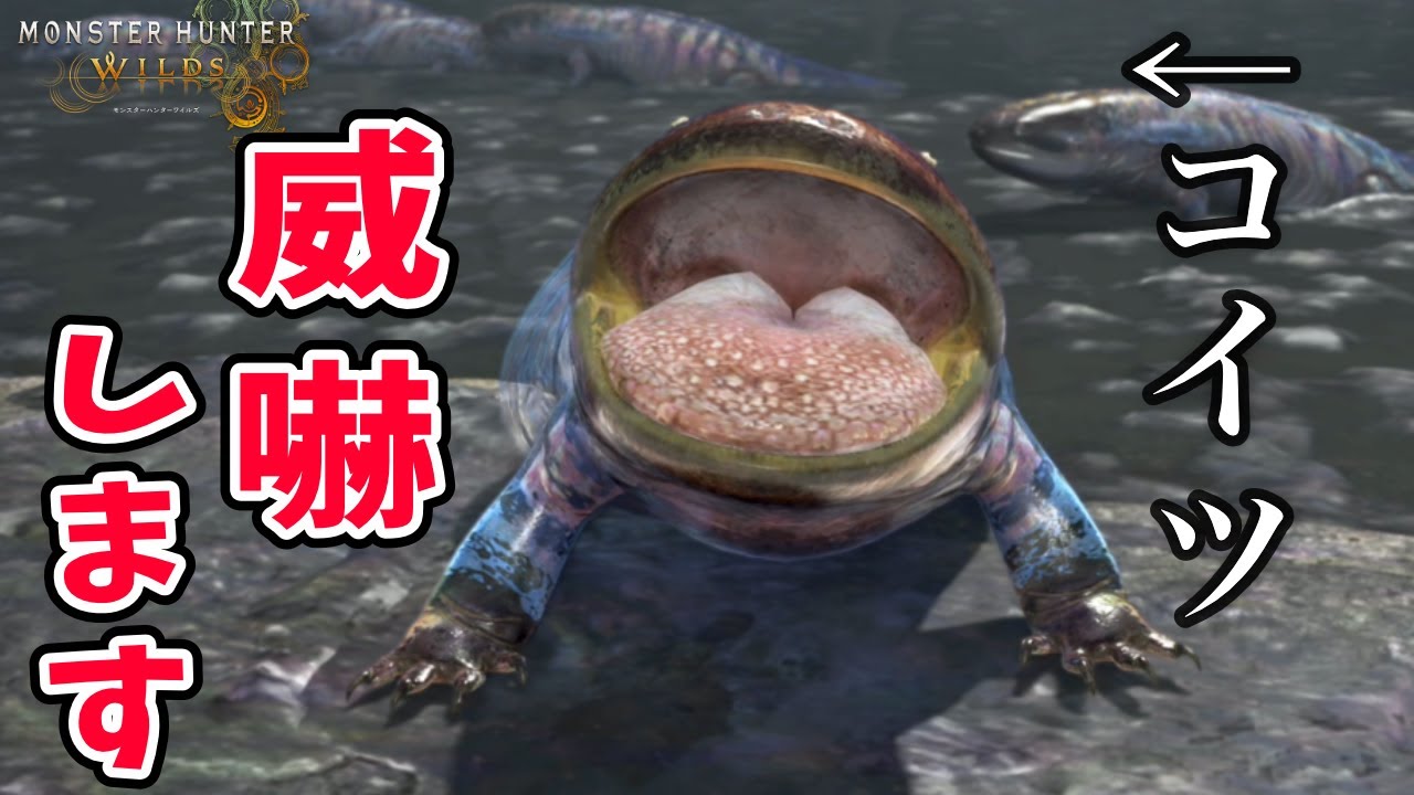【ワイルズ】ゼレドロンの驚くべき弱さについて【4K映像】