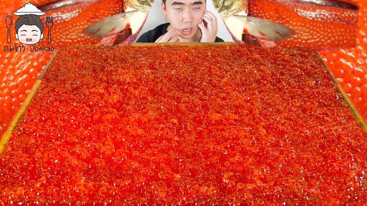 ไข่ปลาแซลมอน 10,000 เม็ด ซัดหมดถาด ฟินที่สุดในโลก หมดไปเกือบหมื่นบาท | ดมข้าว