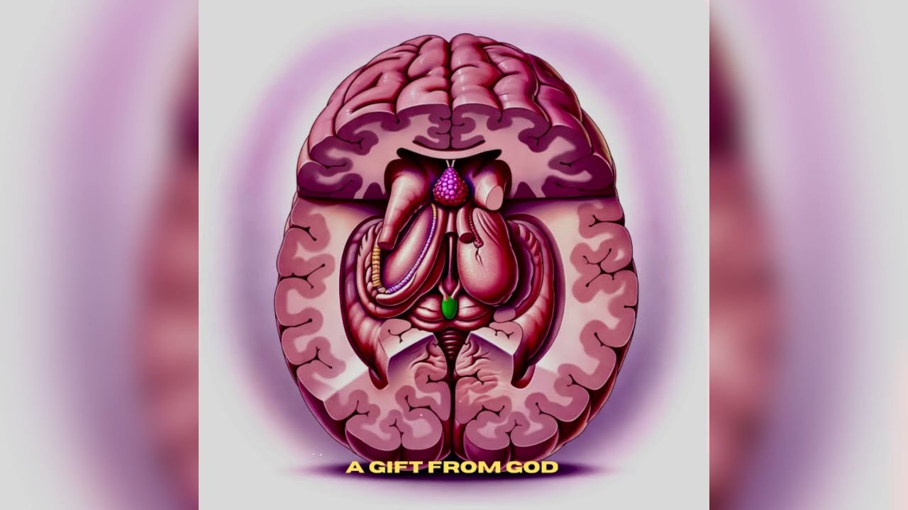 [FREE FOR PROFIT] A GIFT FROM GOD