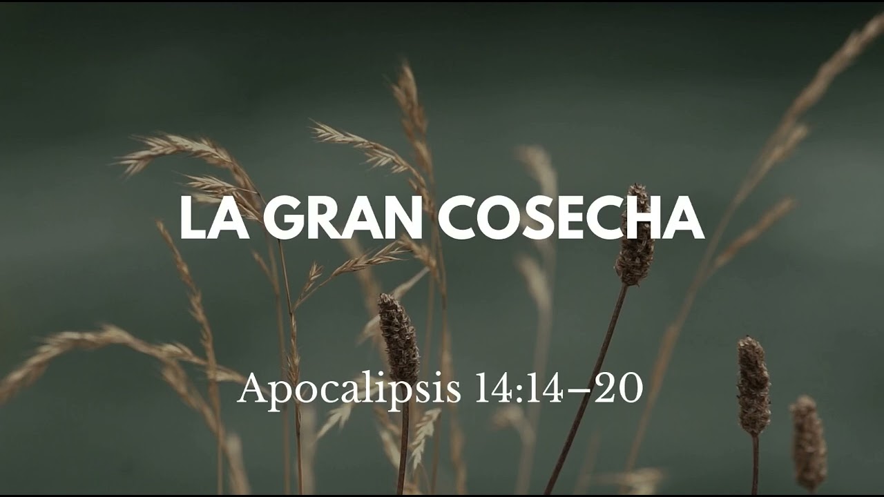 Predicación: Apocalipsis 14:14-20, La Gran Cosecha (El Juicio de los Malvados)