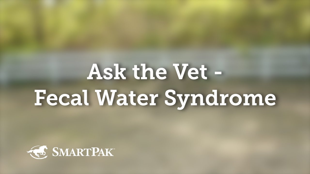 Ask the Vet - Fecal Water Syndrome