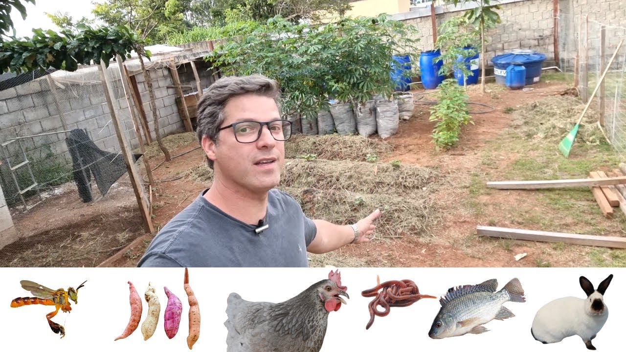 A Fazendinha Cresceu!! Revisão de Todos os Módulos