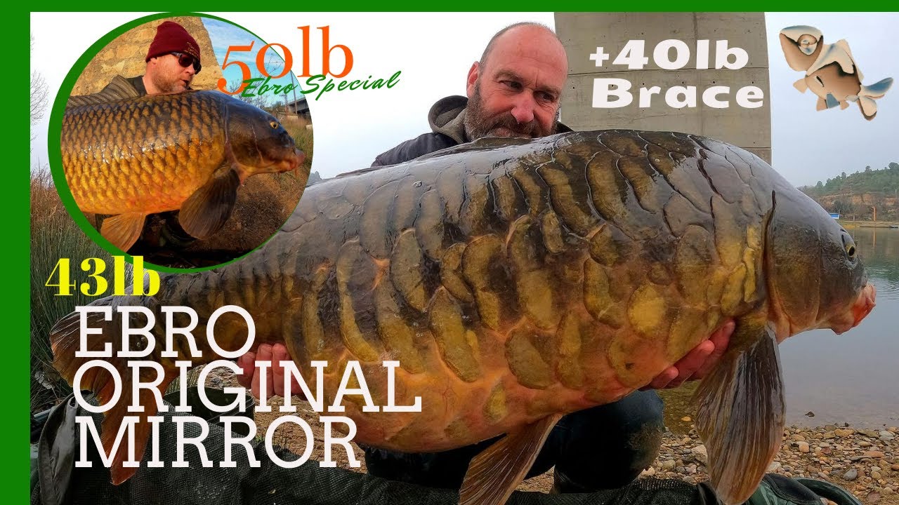 Winter Fishing on the Ebro! 43 lb Ebro Original Fully Scaled Mirror & 50+ lb Golden Winter Carp!