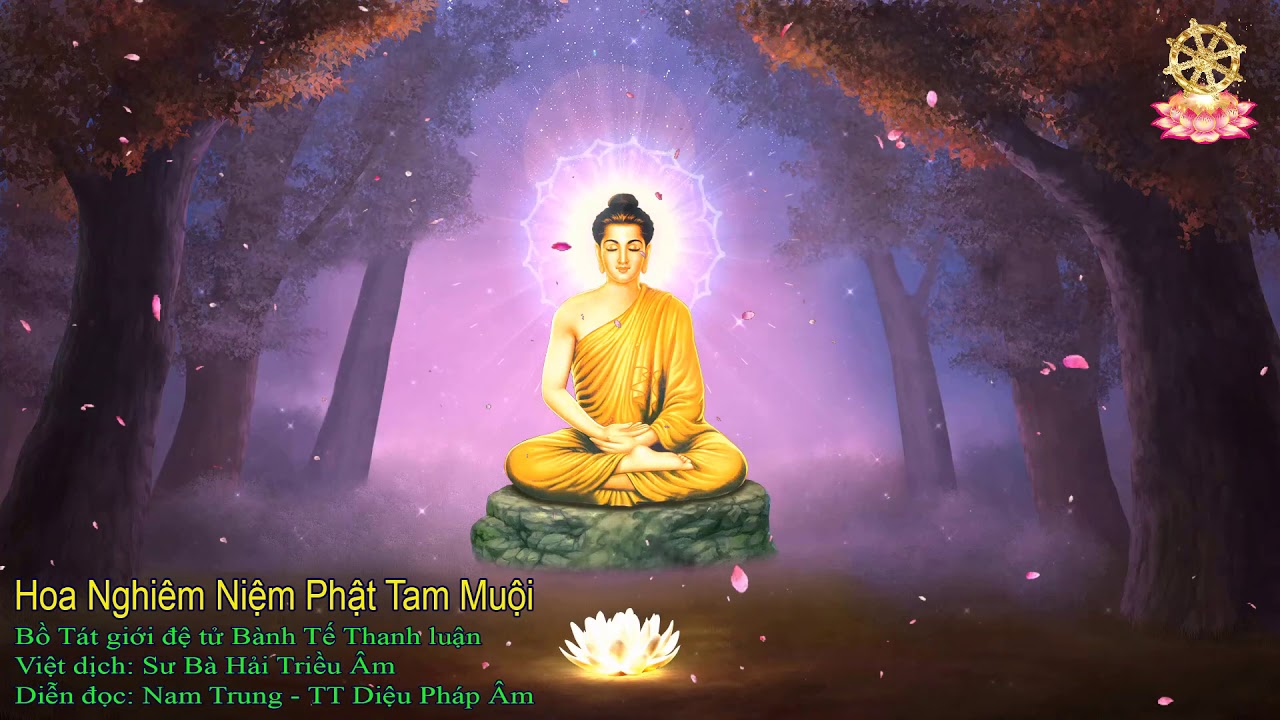 Hoa Nghiêm Niệm Phật Tam Muội (trọn bộ) - Cư sĩ Bành Tế Thanh