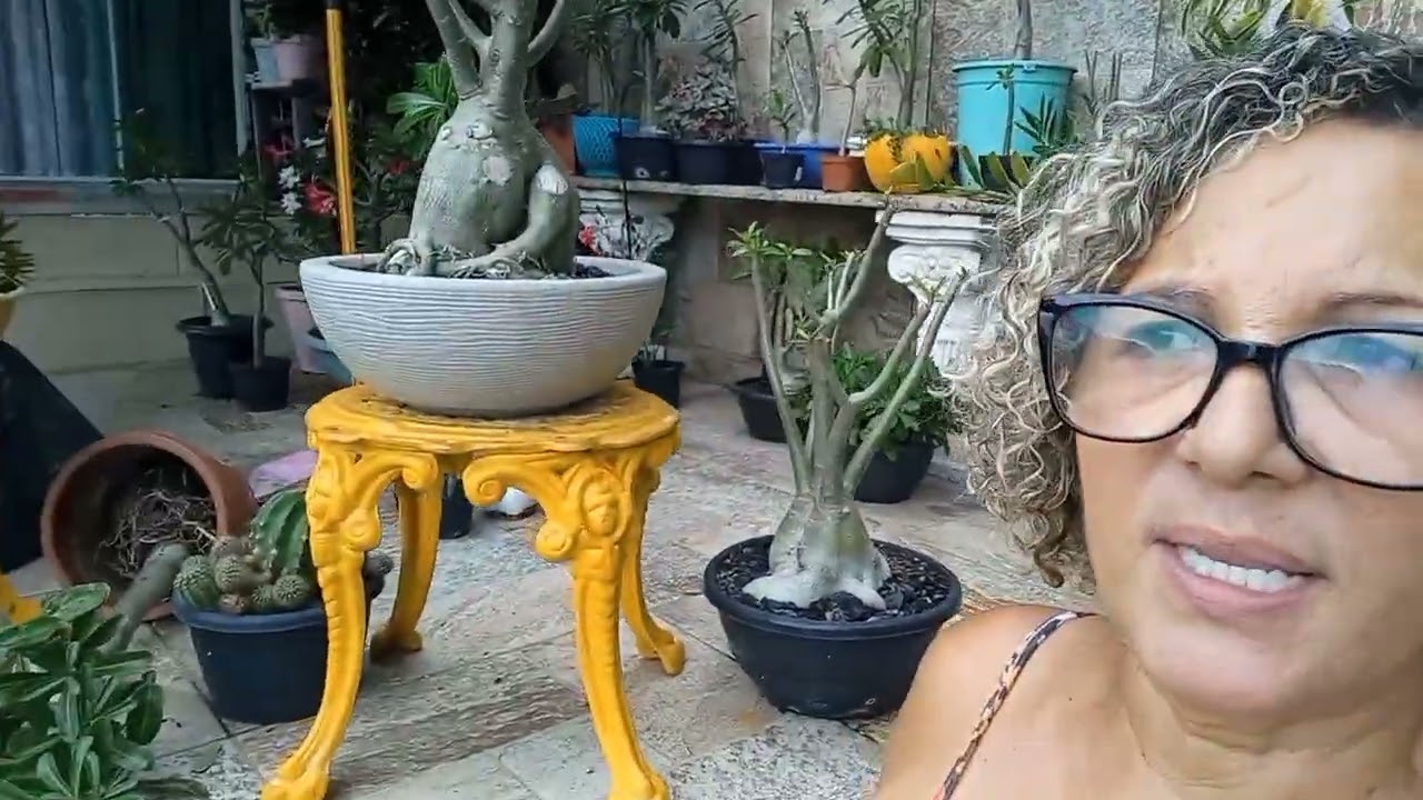Limpeza pós temporal