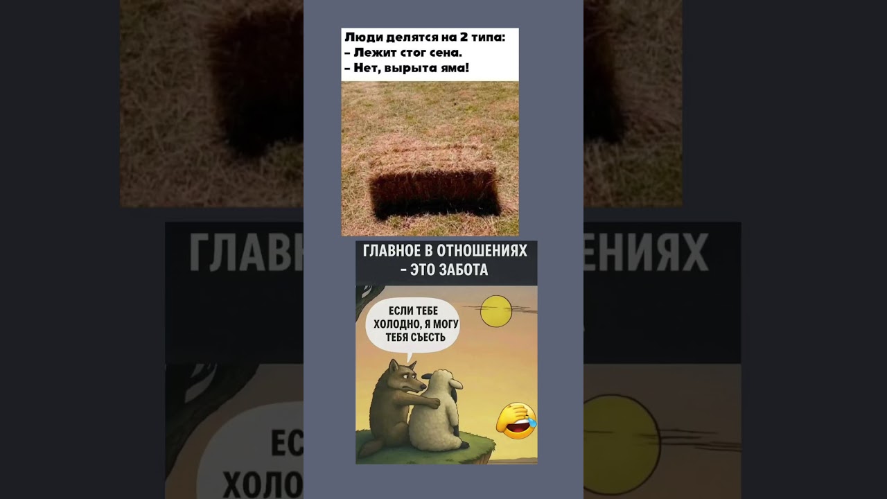 😂😂😂 #свежиеанекдоты #мем