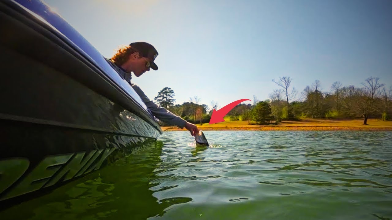BASS FISHING LEWIS SMITH LAKE!