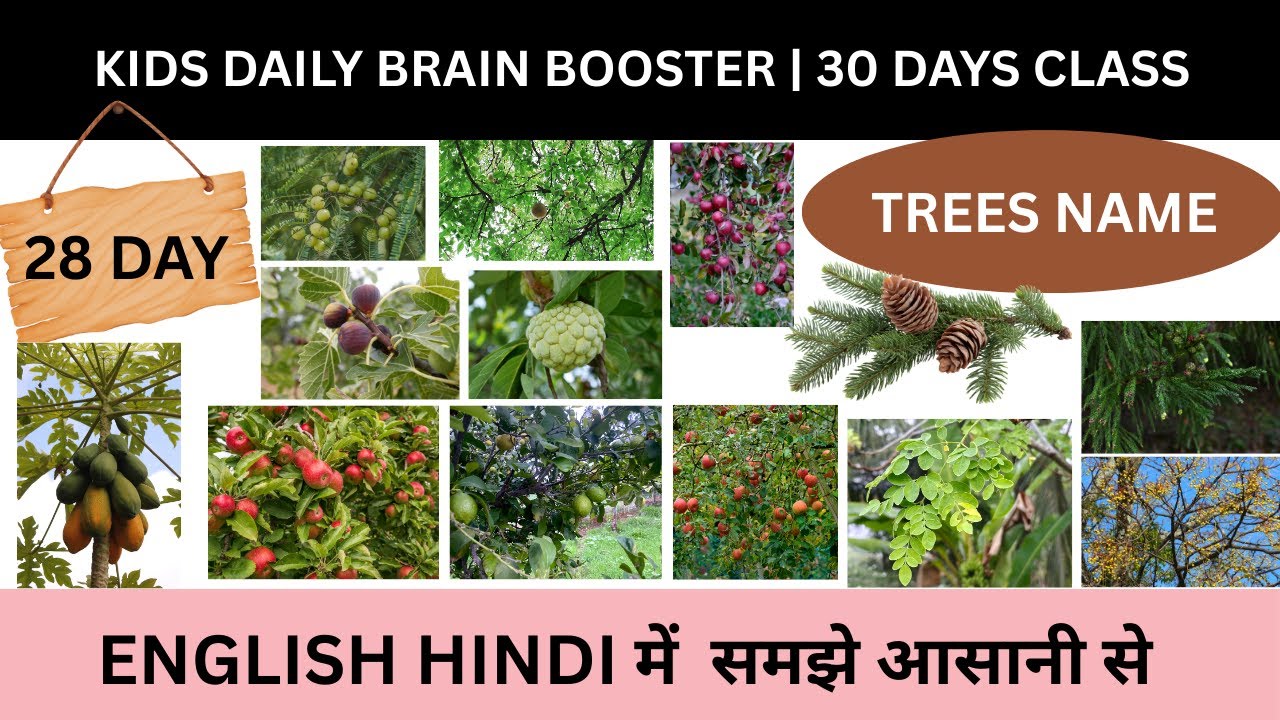 Kids Daily Brain Booster Day 28 | Trees Name in English with Hindi | Day 28 of 30 Days