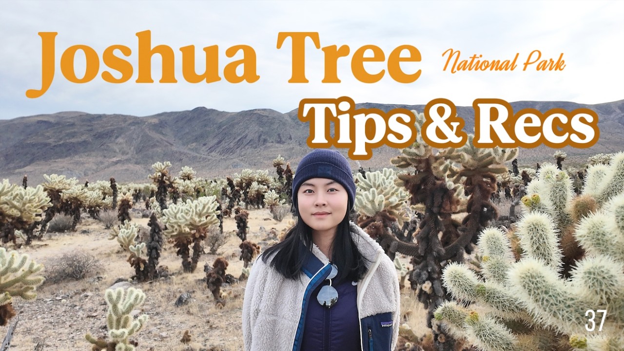 Is Joshua Tree overrated? | Watch this before you go | Honest review and must-know tips | 约书亚树国家公园测评