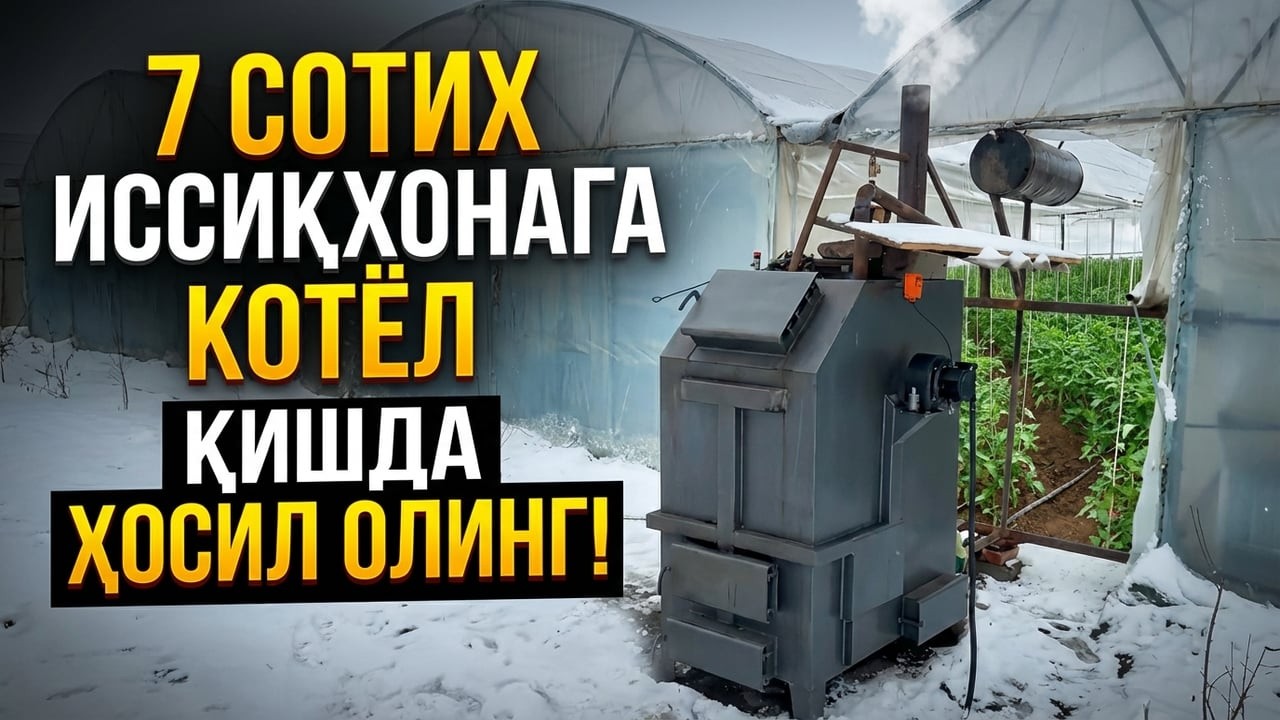 7 СОТИХ ТЕПЛИТЦА КОТЁЛНИ ИШЛАШ ЖАРАЁНИ! #котёл #katyol #parnik #парниккатёл