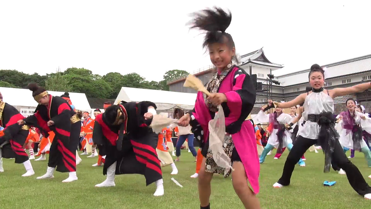 総おどり　踊れ日本海　金沢百万石まつり2013