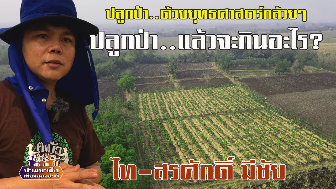 ปลูกป่า..ด้วยยุทธศาสตร์กล้วยๆ 