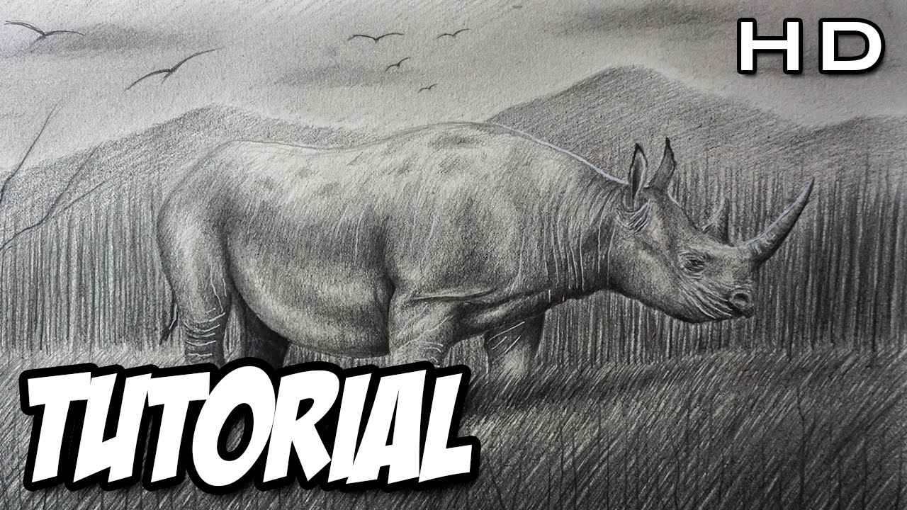 Cómo dibujar un Rinoceronte Realista a lápiz paso a paso - TUTORIAL