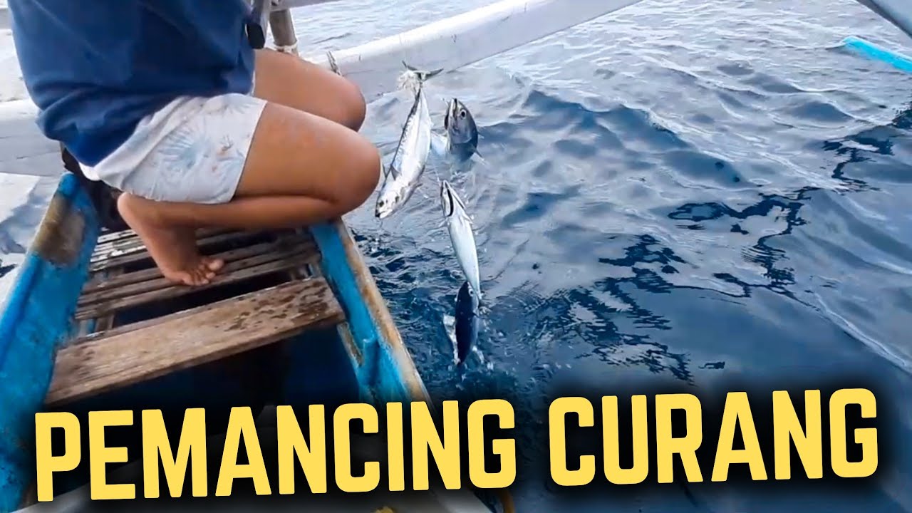 100 KAIL Pancing Turun Sekaligus | Mancing Ikan Tongkol Menggunakan SABIKI (Pancing Bulu)