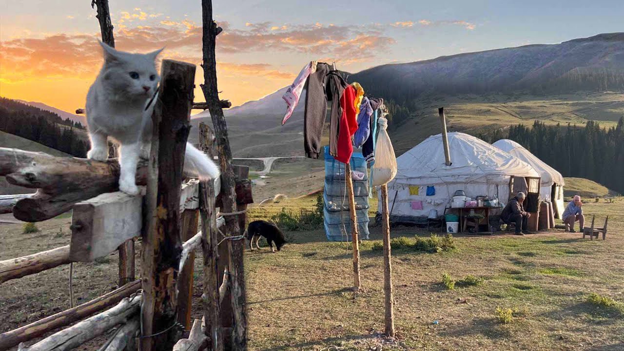 Life with Nomads in the Mountains of Kazakhstan 🇰🇿