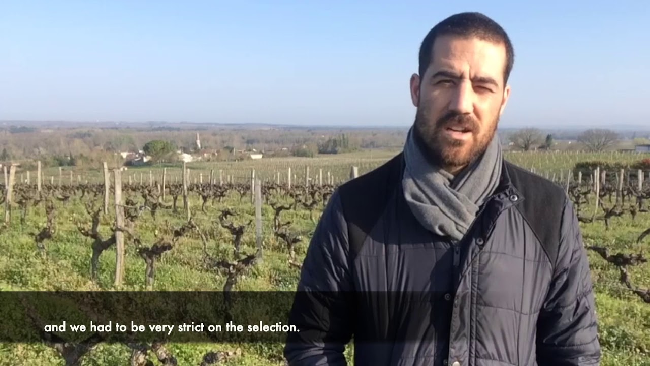PRIMEURS : Château La Tour Blanche millésime 2019